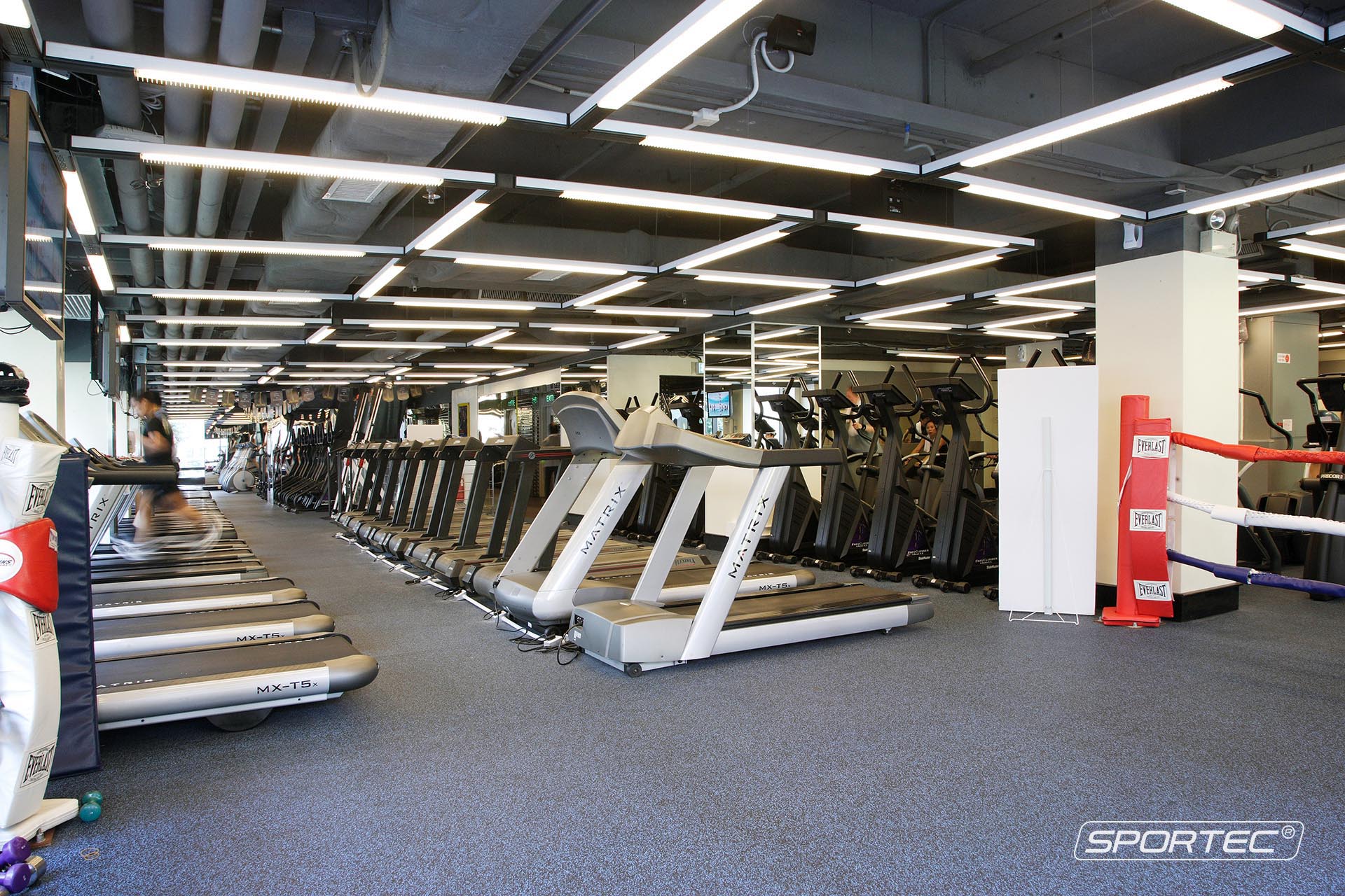 Fitness Sportec Sports Flooring And Elastic Layers