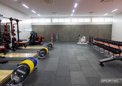 SPORTEC style color 15 Gym Flooring in Japan